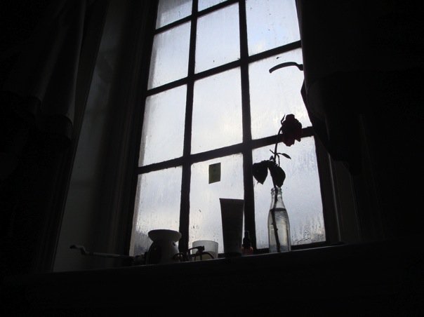 My window My dear friend Josh Croggon took this photo when he stayed with me.