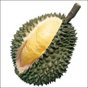 The Durian Tagline: "smells like toilet, tastes like dream"
